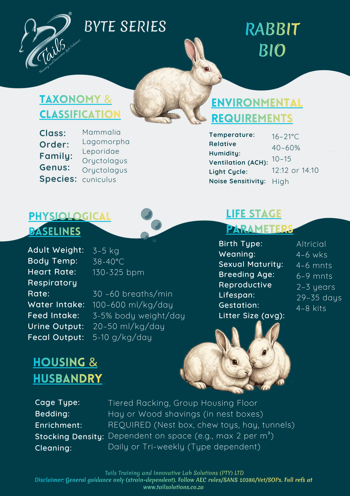 TAILS Byte Series - RABBIT BIO
