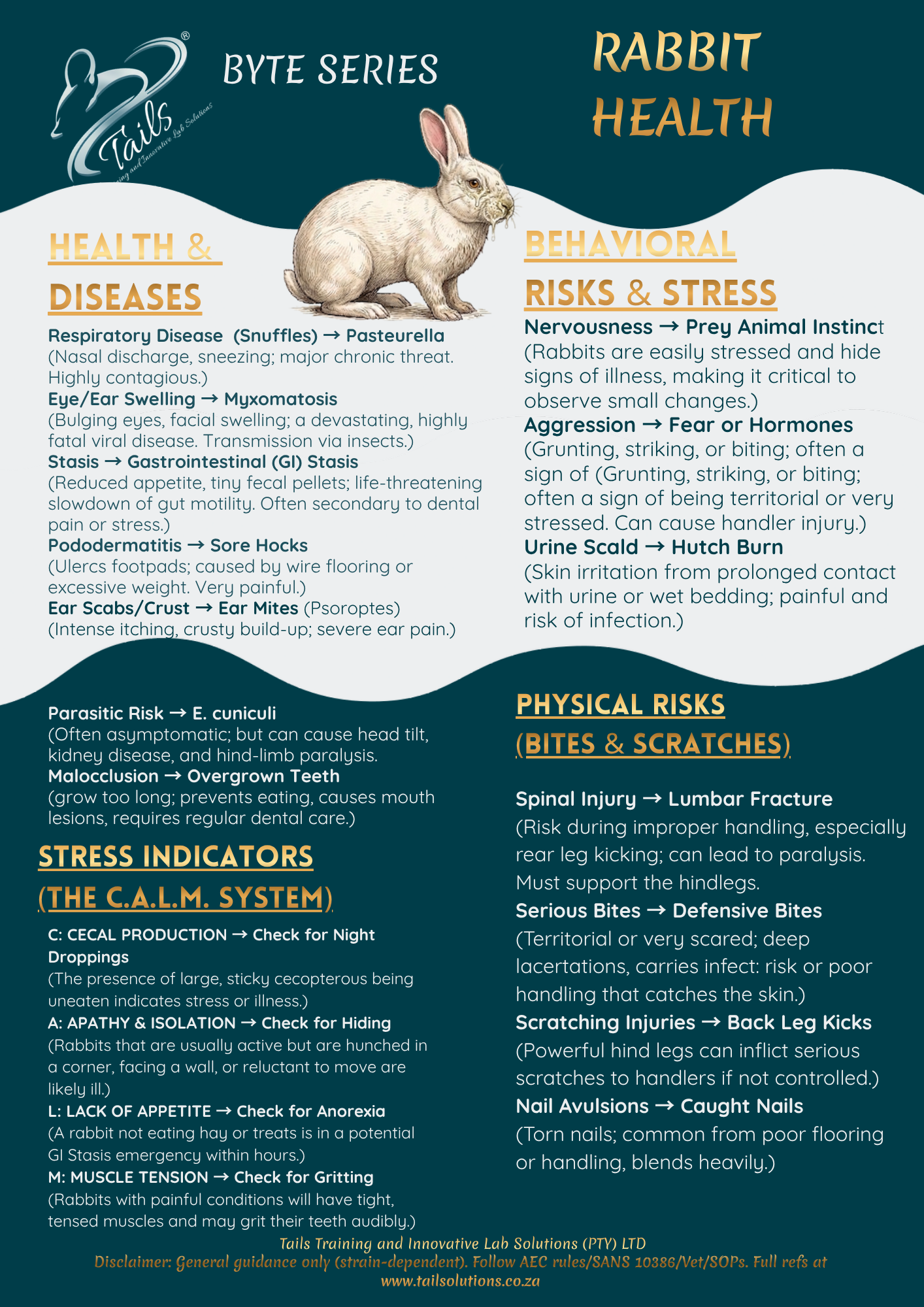 TAILS Byte Series - RABBIT HEALTH